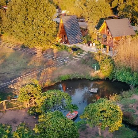 Casa Da Avo - Vale Da Silva Villas Albergaria-a-Velha Bagian luar foto