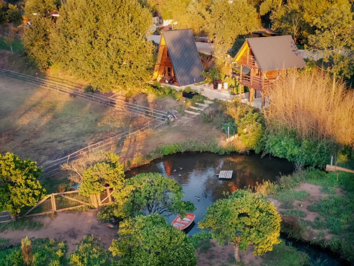 Casa Da Avo - Vale Da Silva Villas Albergaria-a-Velha Bagian luar foto