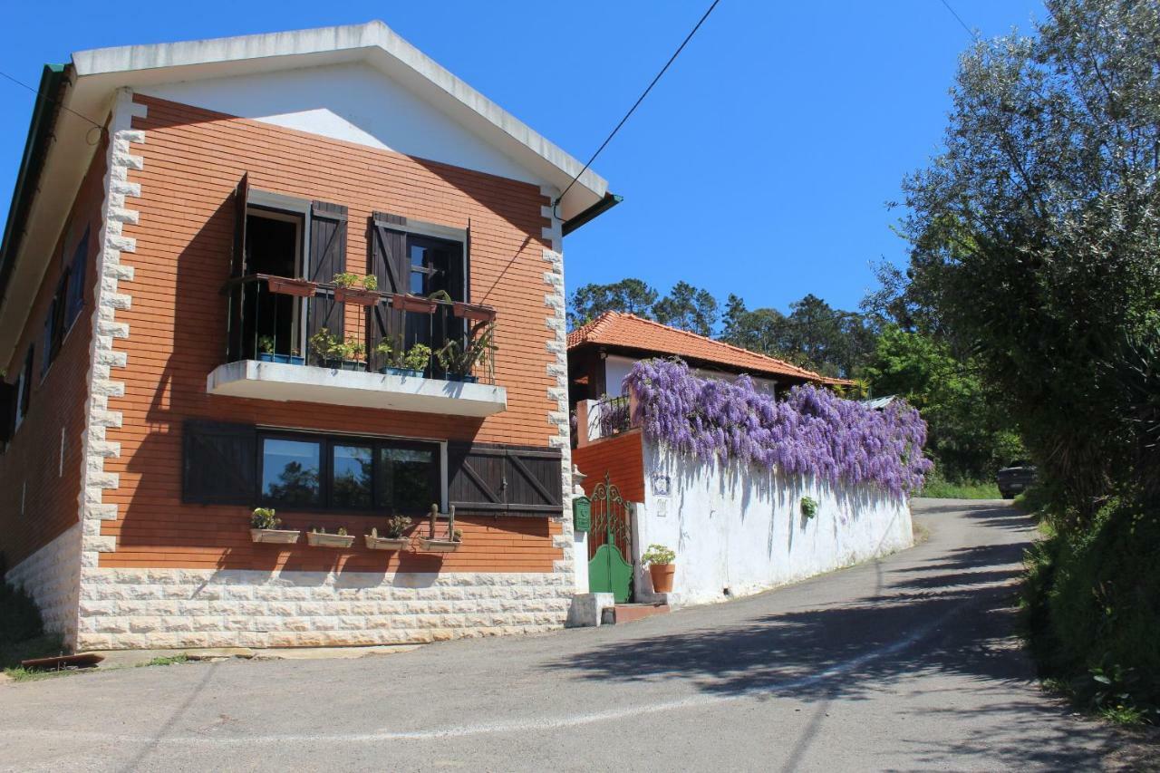 Casa Da Avo - Vale Da Silva Villas Albergaria-a-Velha Bagian luar foto